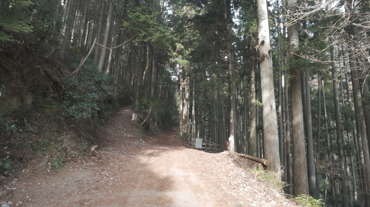 最初の分岐2